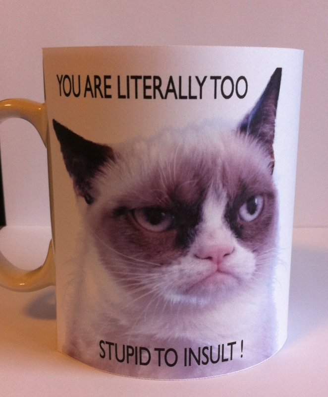 click here to view GRUMPY CAT